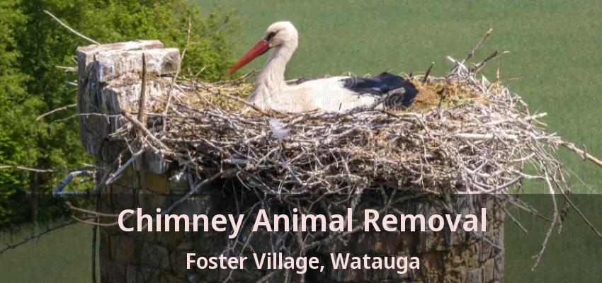 Chimney Animal Removal Foster Village, Watauga - TX