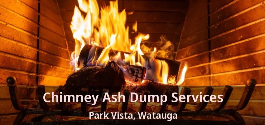 Chimney Ash Dump Services Park Vista, Watauga - TX