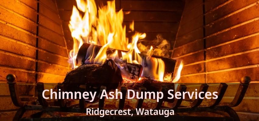 Chimney Ash Dump Services Ridgecrest, Watauga - TX