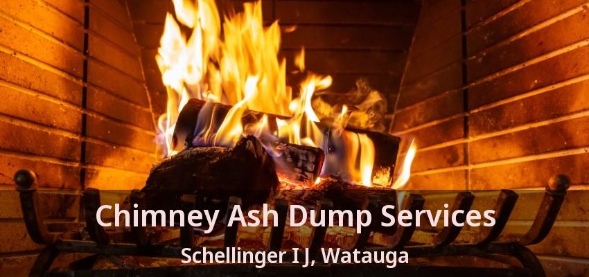 Chimney Ash Dump Services Schellinger I J, Watauga - TX