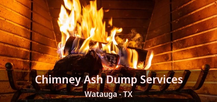 Chimney Ash Dump Services Watauga - TX