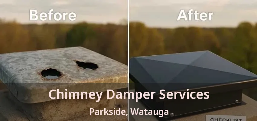 Chimney Damper Services Parkside, Watauga - TX