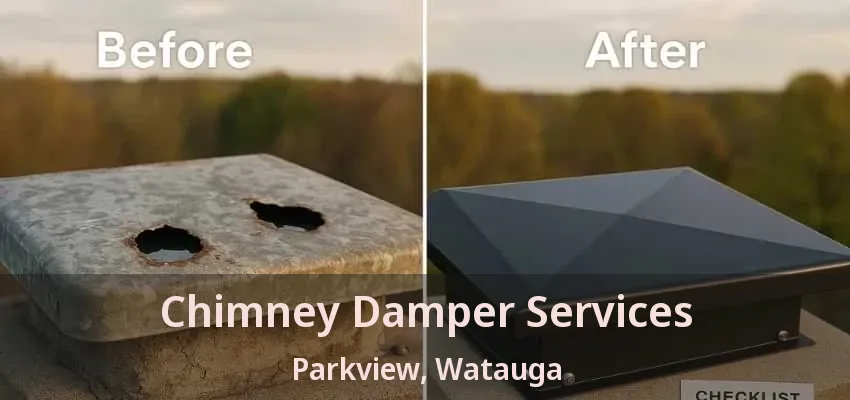 Chimney Damper Services Parkview, Watauga - TX