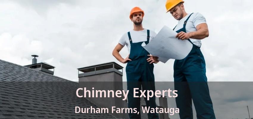 Chimney Experts Durham Farms, Watauga - TX