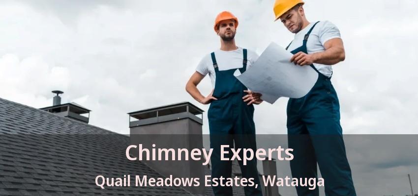 Chimney Experts Quail Meadows Estates, Watauga - TX