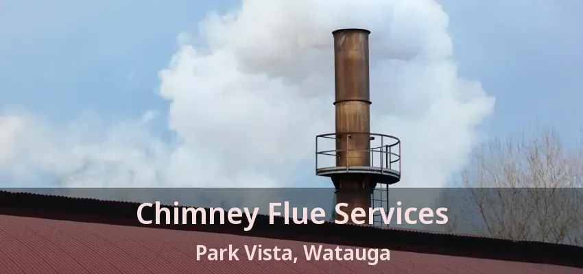 Chimney Flue Services Park Vista, Watauga - TX