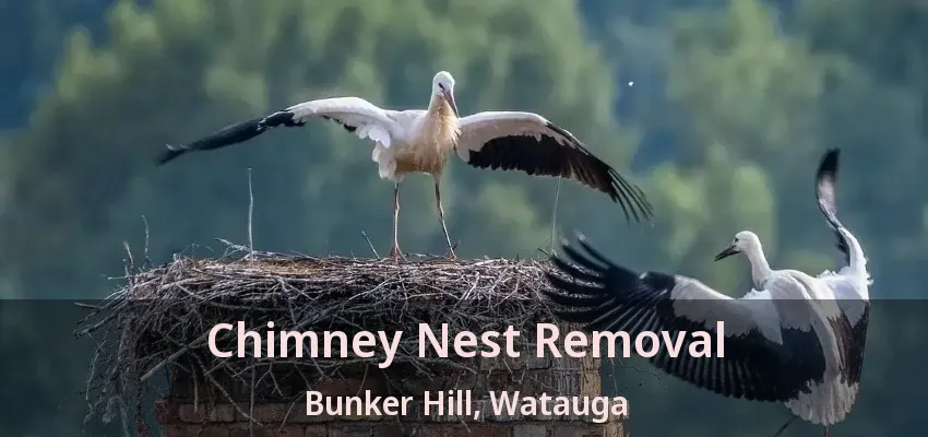 Chimney Nest Removal Bunker Hill, Watauga - TX