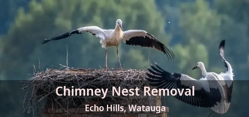 Chimney Nest Removal Echo Hills, Watauga - TX