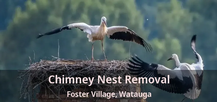 Chimney Nest Removal Foster Village, Watauga - TX