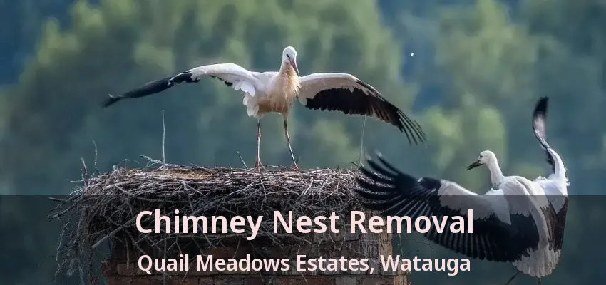 Chimney Nest Removal Quail Meadows Estates, Watauga - TX