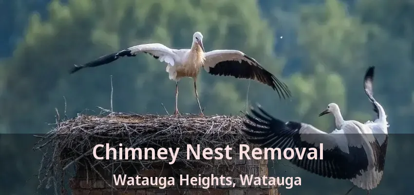 Chimney Nest Removal Watauga Heights, Watauga - TX