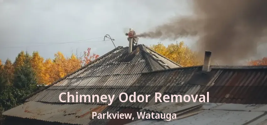 Chimney Odor Removal Parkview, Watauga - TX