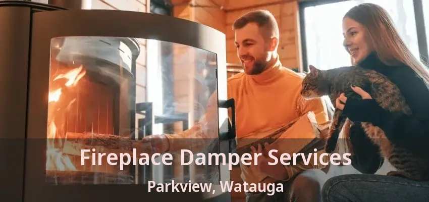 Fireplace Damper Services Parkview, Watauga - TX