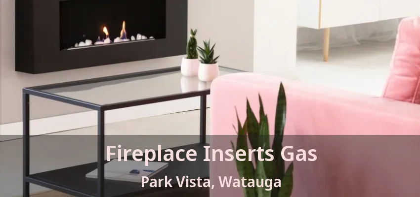 Fireplace Inserts Gas Park Vista, Watauga - TX