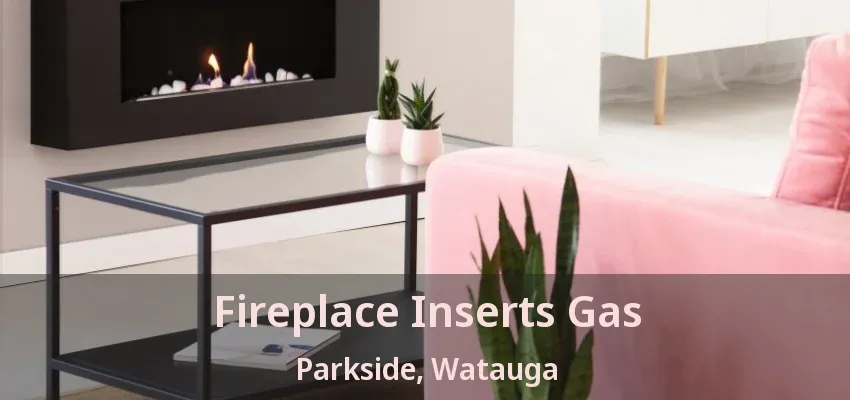 Fireplace Inserts Gas Parkside, Watauga - TX