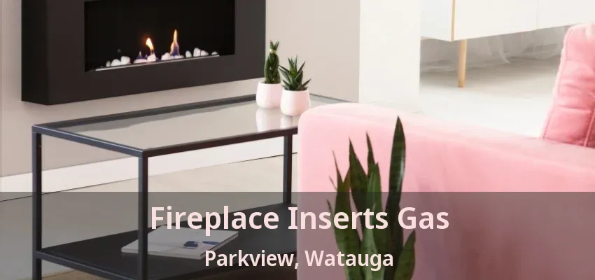 Fireplace Inserts Gas Parkview, Watauga - TX