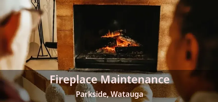 Fireplace Maintenance Parkside, Watauga - TX