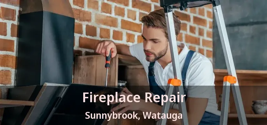 Fireplace Repair Sunnybrook, Watauga - TX