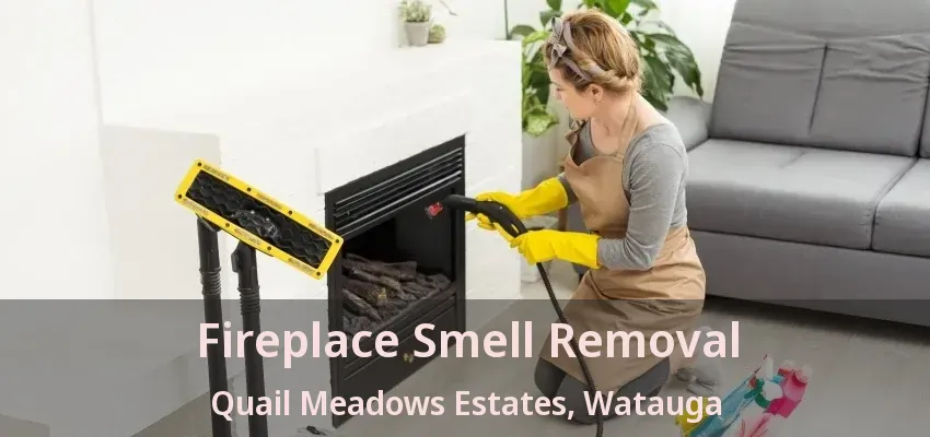 Fireplace Smell Removal Quail Meadows Estates, Watauga - TX