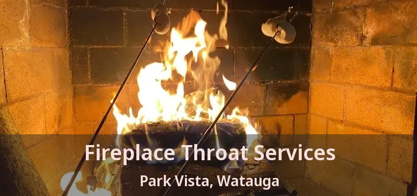 Fireplace Throat Services Park Vista, Watauga - TX