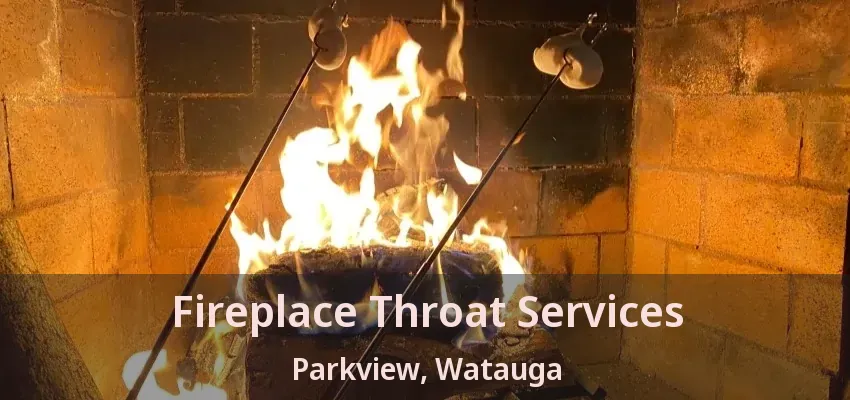 Fireplace Throat Services Parkview, Watauga - TX