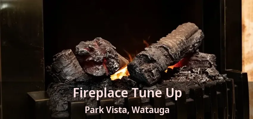 Fireplace Tune Up Park Vista, Watauga - TX