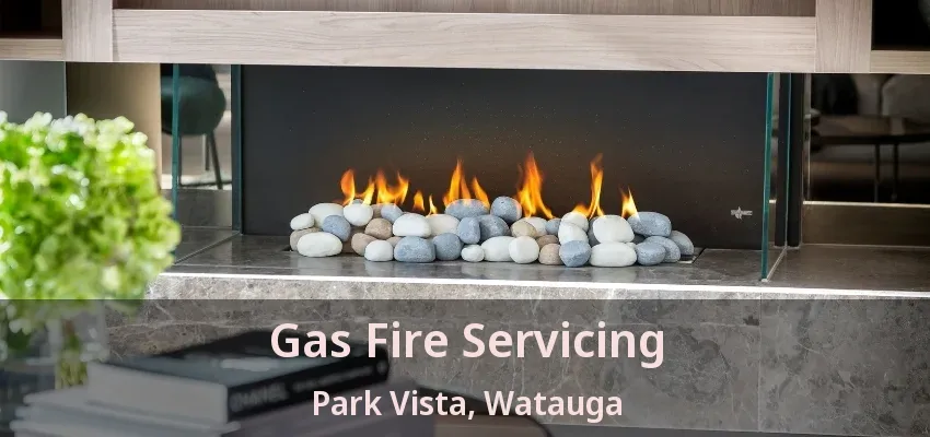 Gas Fire Servicing Park Vista, Watauga - TX