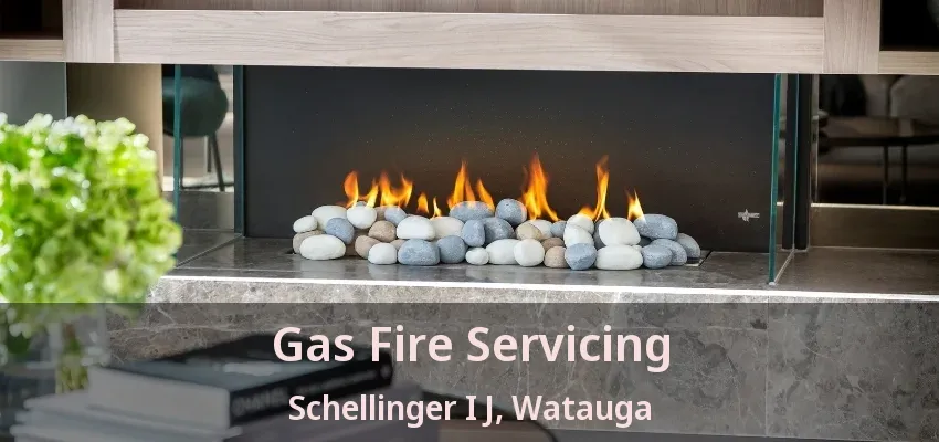 Gas Fire Servicing Schellinger I J, Watauga - TX