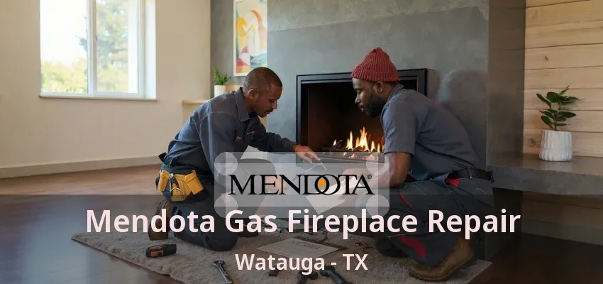 Mendota Gas Fireplace Repair Watauga - TX