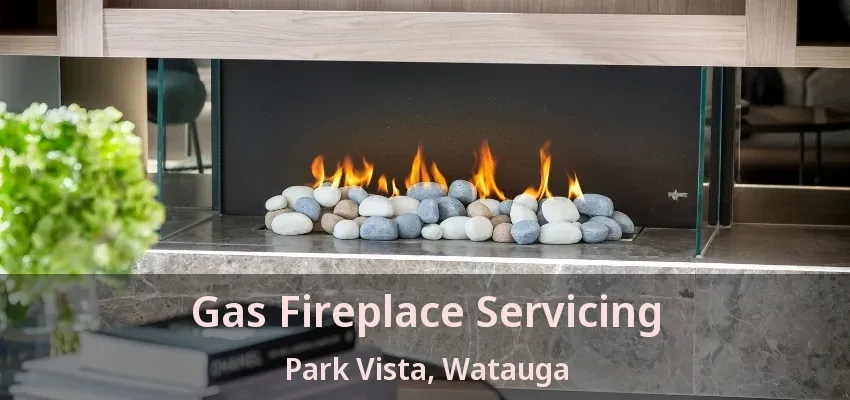 Gas Fireplace Servicing Park Vista, Watauga - TX