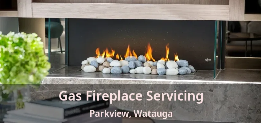 Gas Fireplace Servicing Parkview, Watauga - TX