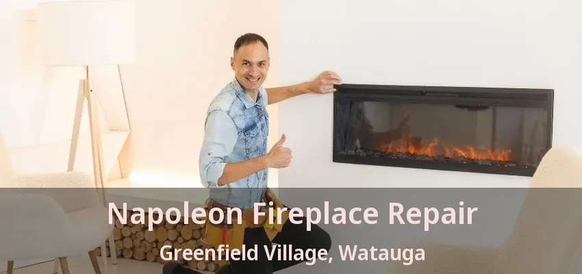 Napoleon Fireplace Repair Greenfield Village, Watauga - TX