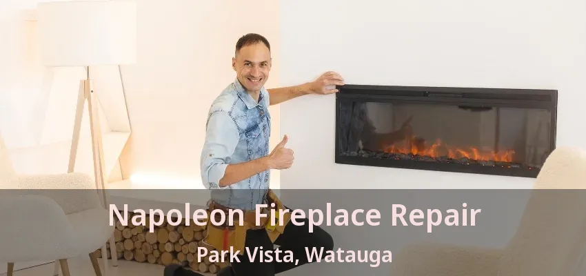Napoleon Fireplace Repair Park Vista, Watauga - TX
