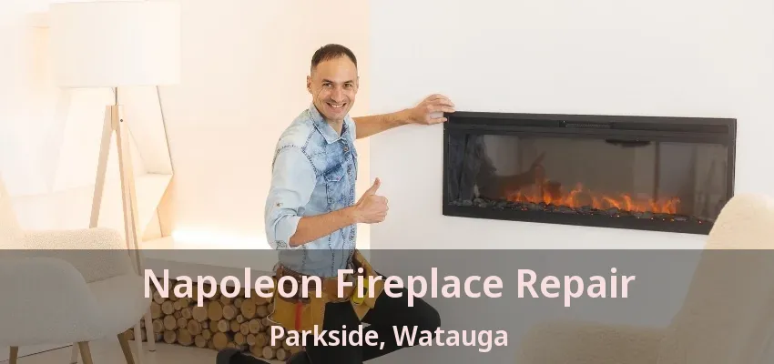 Napoleon Fireplace Repair Parkside, Watauga - TX