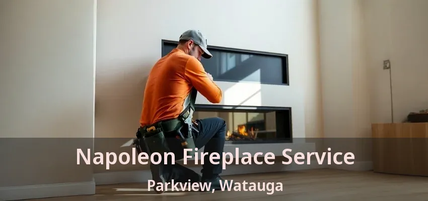 Napoleon Fireplace Service Parkview, Watauga - TX