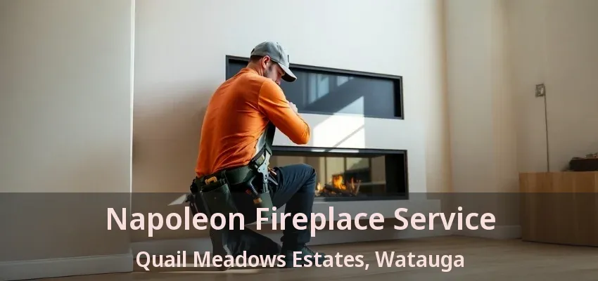 Napoleon Fireplace Service Quail Meadows Estates, Watauga - TX