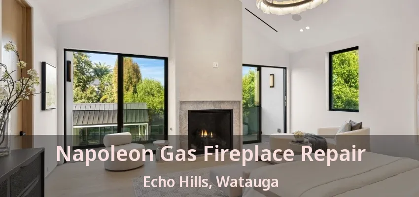 Napoleon Gas Fireplace Repair Echo Hills, Watauga - TX