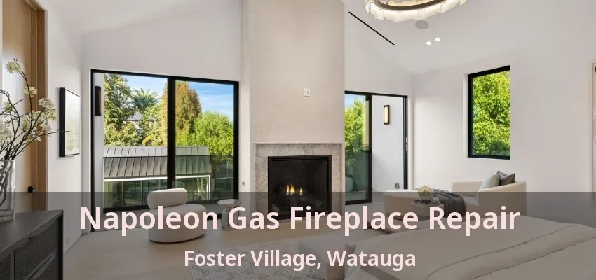 Napoleon Gas Fireplace Repair Foster Village, Watauga - TX