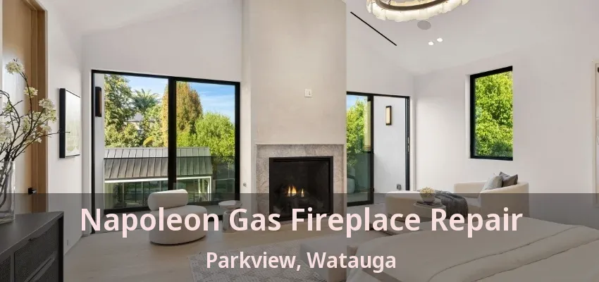 Napoleon Gas Fireplace Repair Parkview, Watauga - TX
