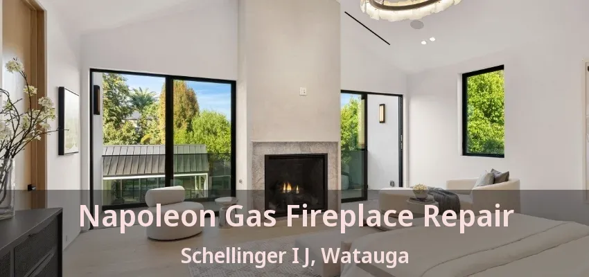 Napoleon Gas Fireplace Repair Schellinger I J, Watauga - TX