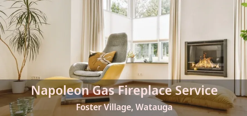 Napoleon Gas Fireplace Service Foster Village, Watauga - TX