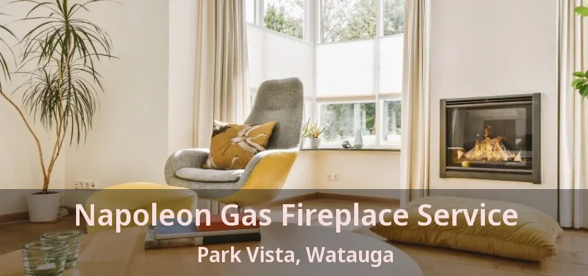 Napoleon Gas Fireplace Service Park Vista, Watauga - TX