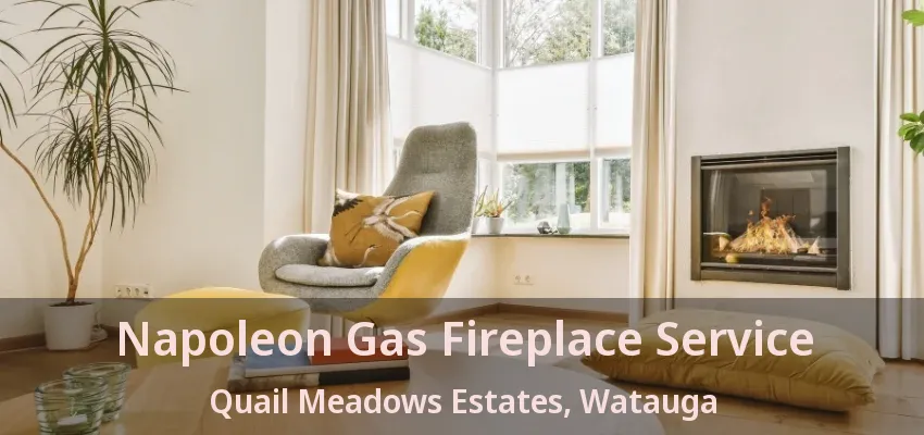 Napoleon Gas Fireplace Service Quail Meadows Estates, Watauga - TX