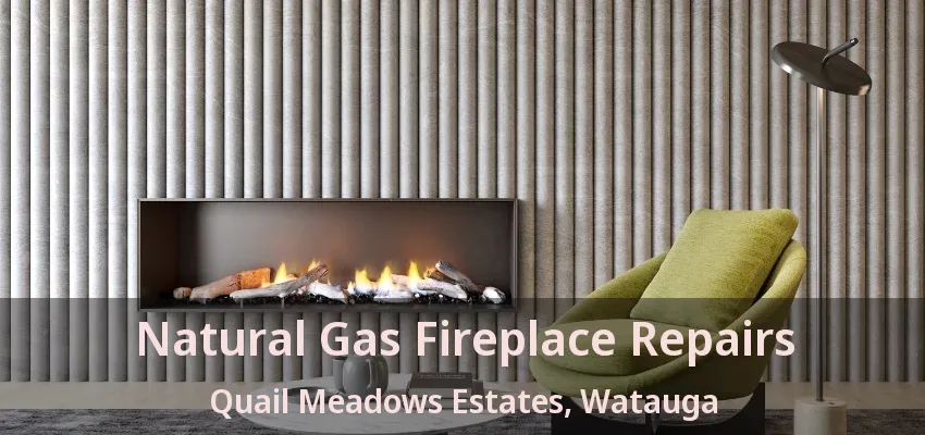 Natural Gas Fireplace Repairs Quail Meadows Estates, Watauga - TX