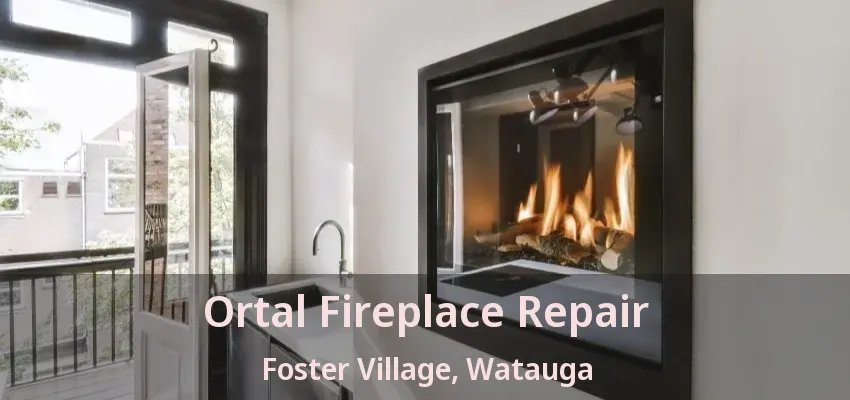 Ortal Fireplace Repair Foster Village, Watauga - TX