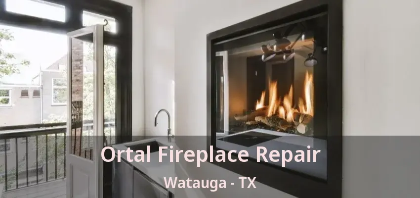Ortal Fireplace Repair Watauga - TX