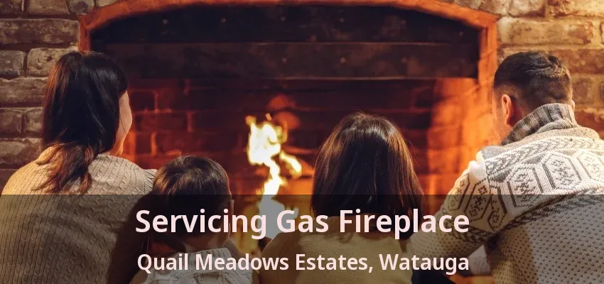 Servicing Gas Fireplace Quail Meadows Estates, Watauga - TX
