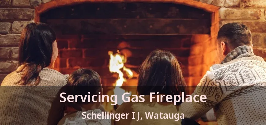 Servicing Gas Fireplace Schellinger I J, Watauga - TX