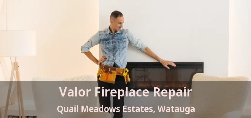 Valor Fireplace Repair Quail Meadows Estates, Watauga - TX