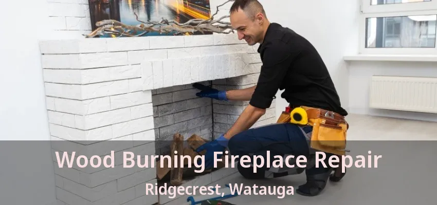 Wood Burning Fireplace Repair Ridgecrest, Watauga - TX